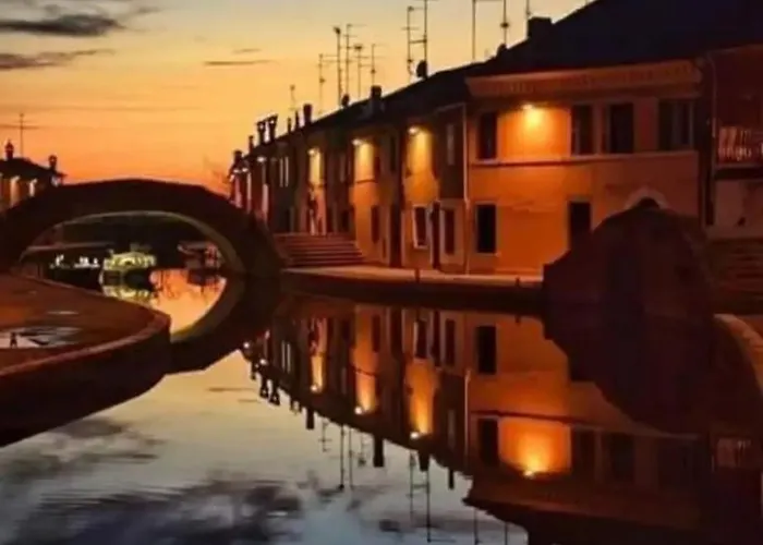 Salicornia コマッキオ