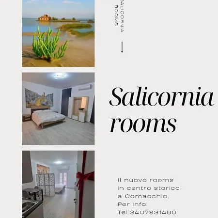 Casa de hóspedes Salicornia