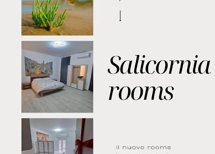 Guest house Salicornia